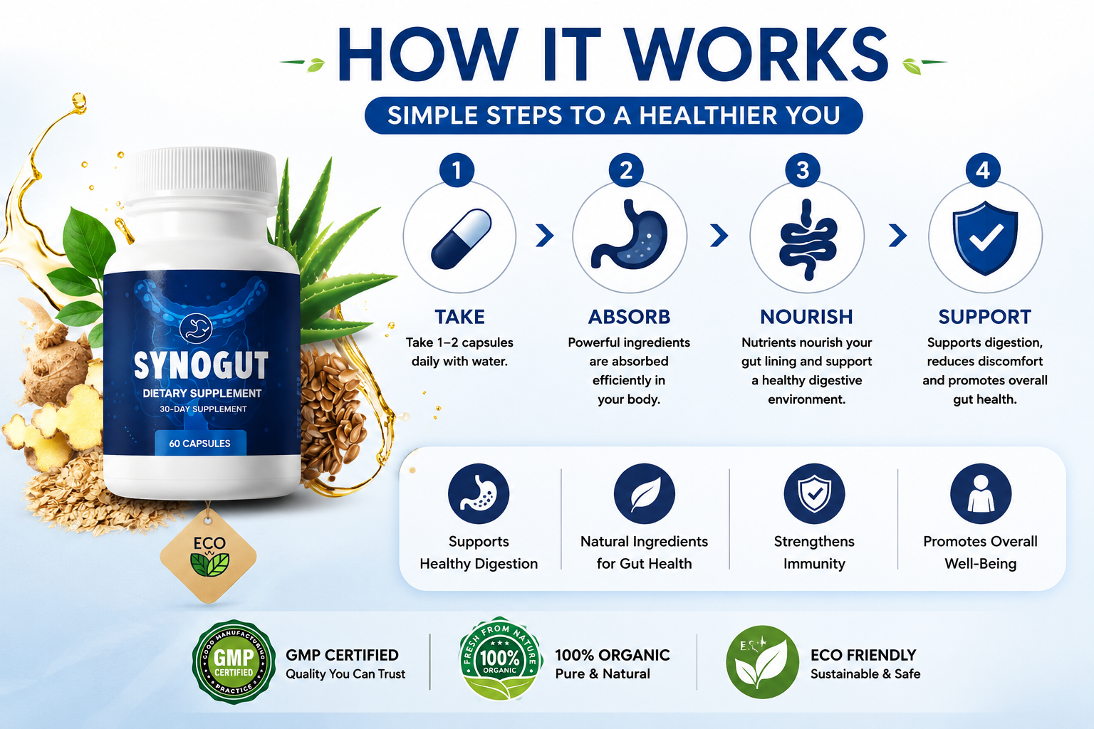 SynoGut how it works: take, absorb, nourish, support